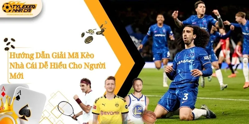 Hướng Dẫn Giải Mã Kèo Nhà Cái Dễ Hiểu Cho Người Mới